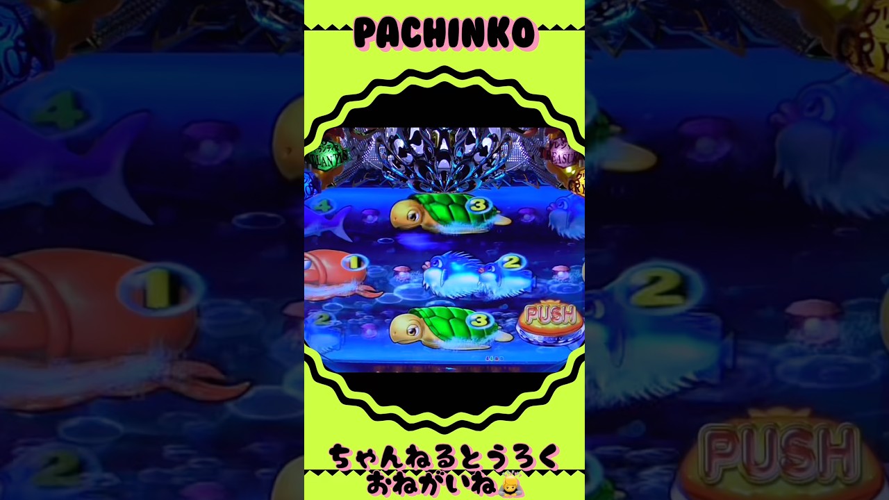 大海物語withアグネスラム!2025年12月6日