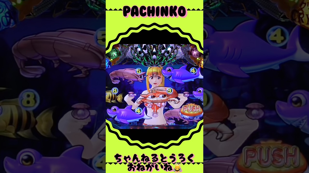 大海物語withアグネスラム!2025年12月9日