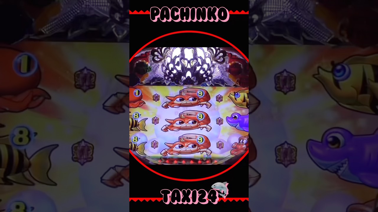 大海物語withアグネスラム❣️2025年12月19日