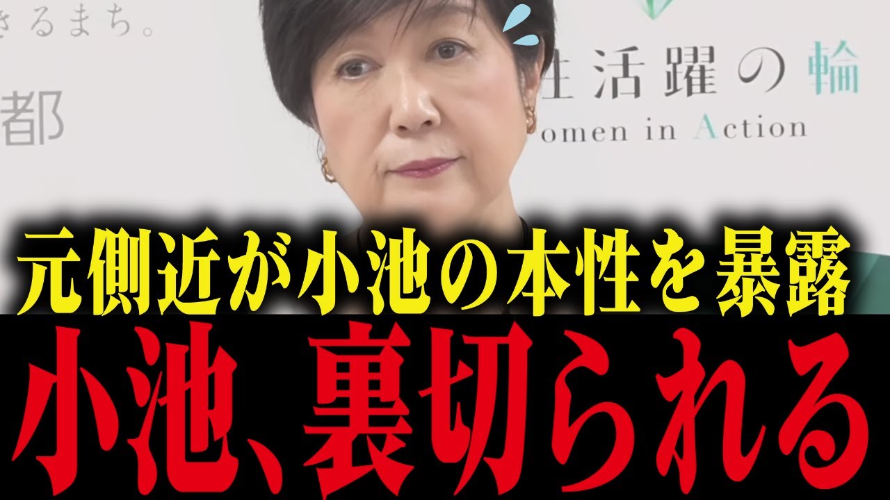 【小池百合子】元側近が小池の嘘を全て暴露してしまう…【小池都知事/さとうさおり/都議会】