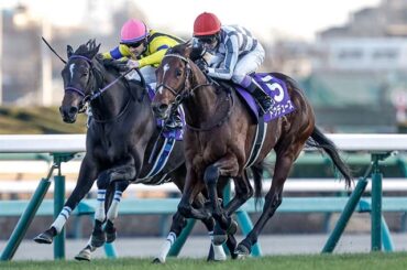 【有馬記念の過去10年データ】「内枠有利 外枠不利」が決まり文句 軸は内枠から中間枠で（netkeiba） - Yahoo!ニュース