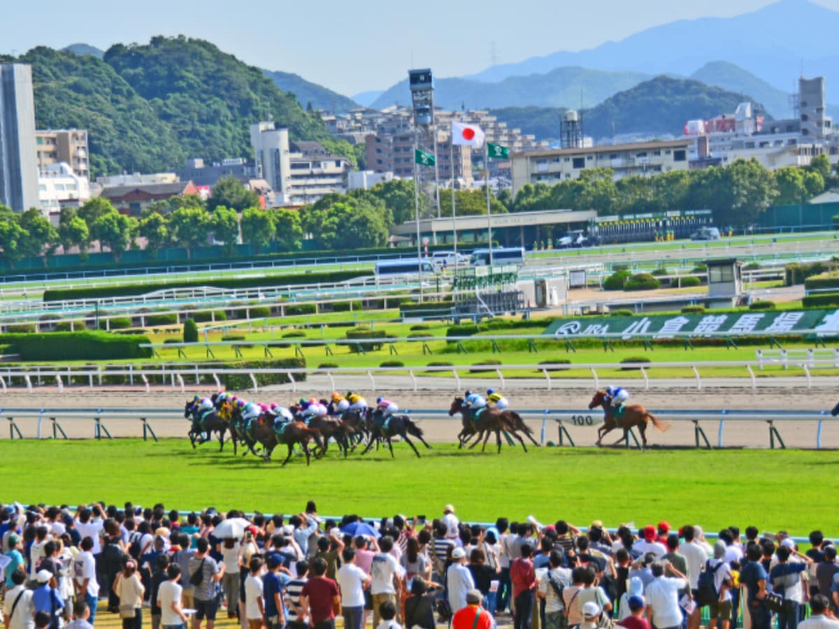 馬との距離が近く感じられる「競馬場(中央競馬)」ランキング! 「小倉競馬場」「東京競馬場」を抑えた1位は?【2025調査】 – All About ニュース 馬との距離が近く感じられる「競馬場(中央競馬)」ランキング! 「小倉競馬場」「東京競馬場」を抑えた1位は?【2025調査】 - All About ニュース