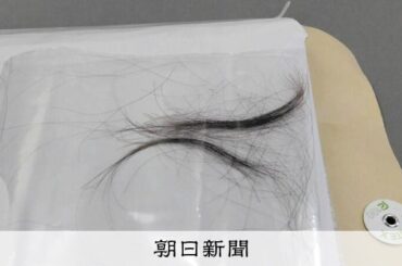 被爆死した13歳少女、80年ぶり身元判明 骨つぼの遺髪DNA鑑定 - 朝日新聞