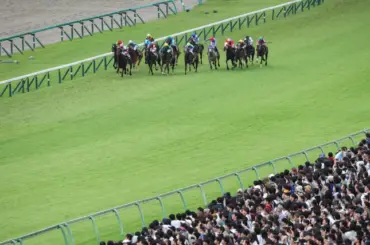 【元競馬記者が印公開】ホープフルステークス2025 予想 image