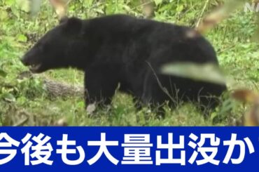 クマの大量出没に新たな理由が!? - NHKニュース