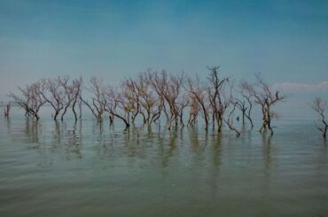 「気温上昇は18世紀から始まっていた」　英研究者らが新データを分析 - CNN.co.jp