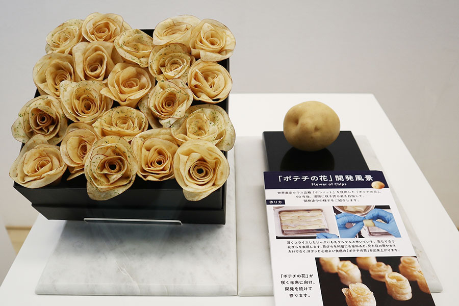 「HAPPYゾーン」展示品の一例。「心がときめく『ポテチの花』」（湖池屋）