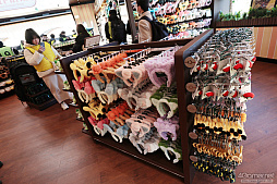 画像ギャラリー No.083のサムネイル画像 / 「ポケパーク カントー」ってどんなところ？　体験して分かった楽しさと、来園前に知っておきたいポイント