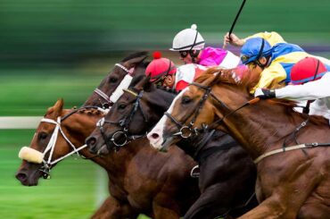 【AJCC／危険な人気馬】菊惨敗から巻き返し狙う4歳一角に“6.66”の壁　中山芝2200m「0.0.0.6」の血統も不安材料