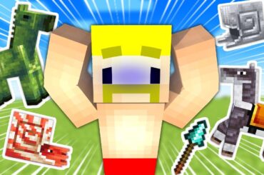 【マイクラアプデ】『マウント・オブ・メイヘム』新要素10個集めるまで終われません！