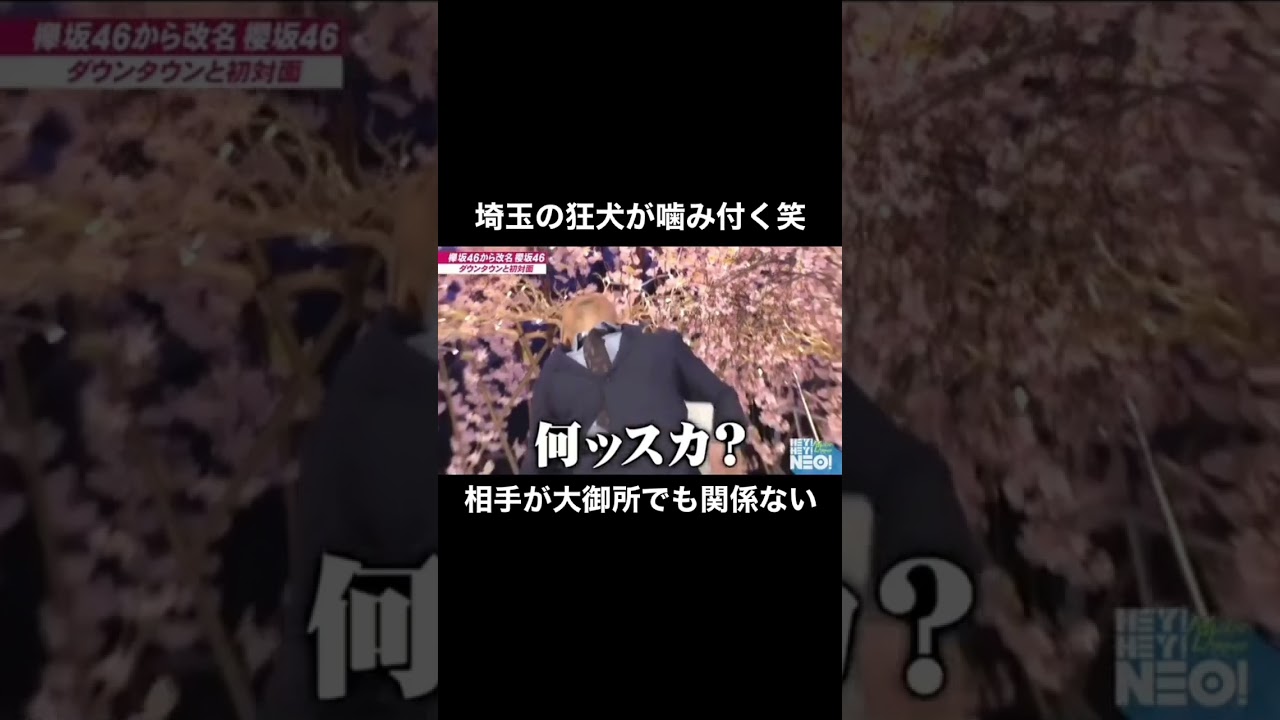 桂三枝みたいな転け方好き笑 #欅坂46 #小林由依 #埼玉 #狂犬 #ダウンタウン #桂三枝 #コケる #噛み付く #なんすか