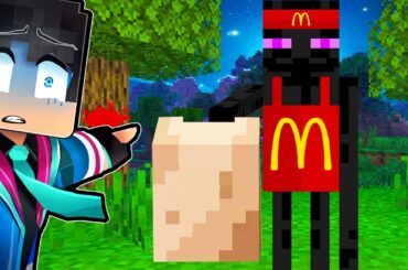 MOBが仕事をしているマインクラフトがやばい【 マイクラ / マインクラフト 】