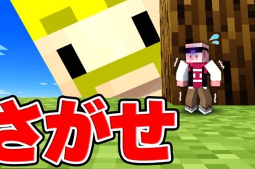 極小おおはらMENを捕まえろ！！！【マイクラ】