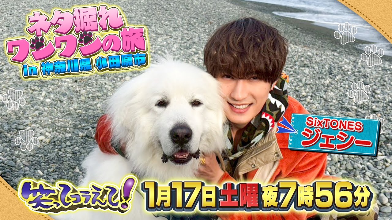 1月17日(土)よる7時56分からは 笑ってコラえて!