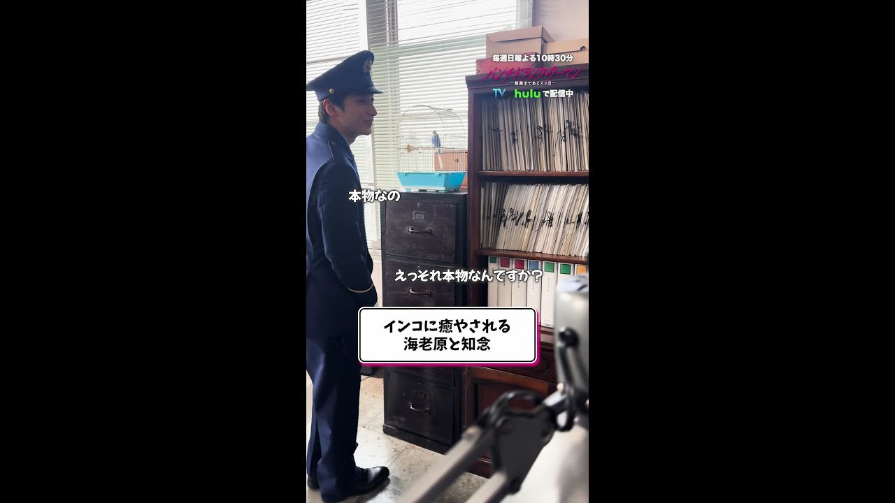 【インコに癒される小関さん・柏木さん🐦】#パンチドランクウーマン 第1話オフショット✨ #日テレ #shorts