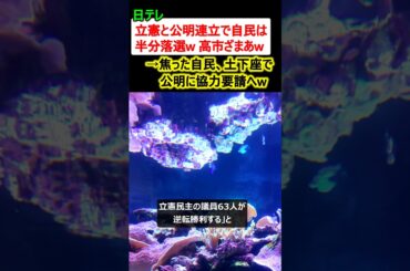 日テレ「立憲と公明連立で自民党は半分落選、ざまあw」→焦った自民、土下座で公明に協力要請へ