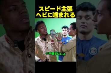 スピード、インドでヘビに噛まれる！？信じないスタッフにビデオ判定を要求