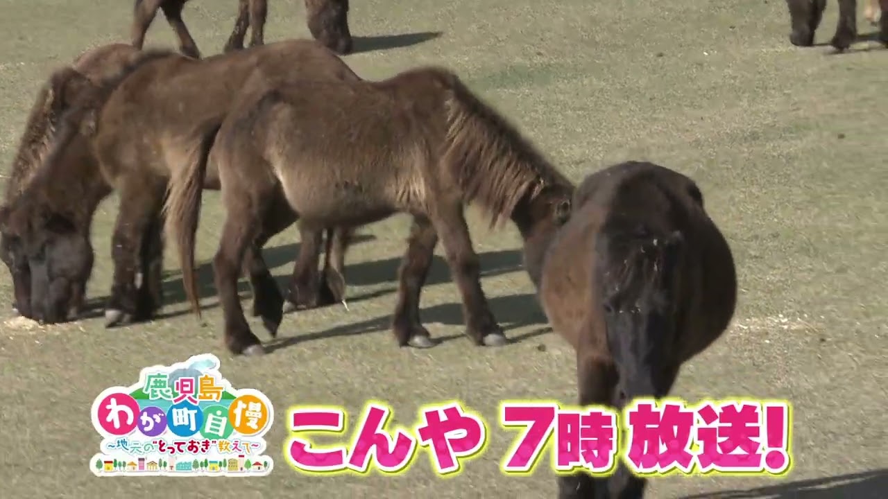 鹿児島わが町自慢 第16弾 今夜7時放送!