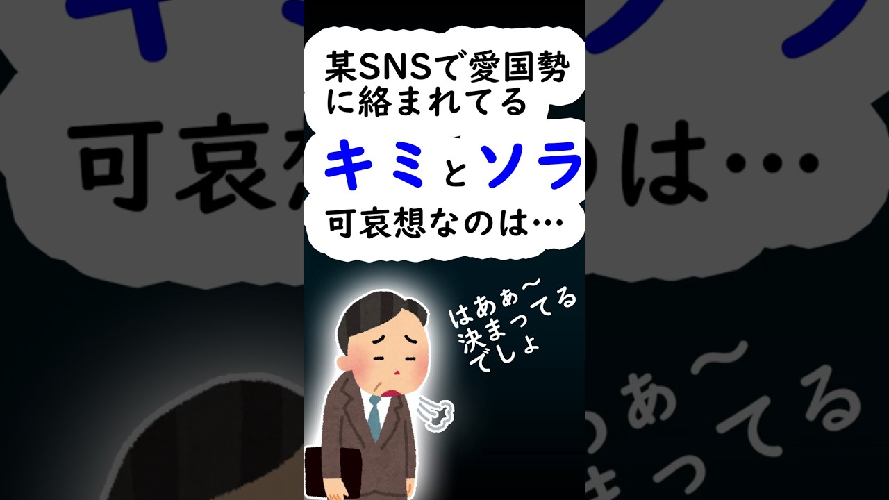 キミとソラ #shorts #小野田紀美 #蒼井そら #自民党