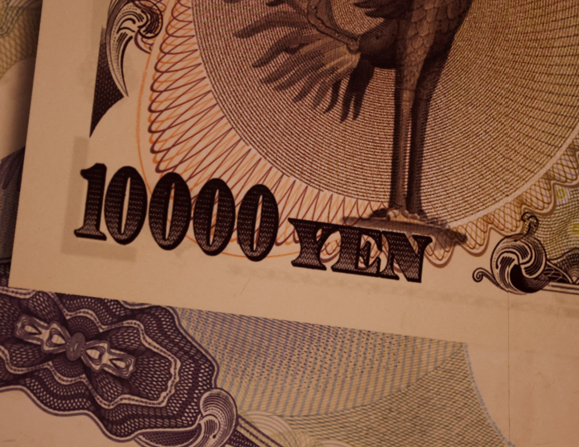 コラム：円安予想が修正されない限り続く円安トレンド＝熊野英生氏