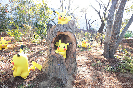 画像ギャラリー No.008のサムネイル画像 / 「ポケパーク カントー」ってどんなところ？　体験して分かった楽しさと、来園前に知っておきたいポイント