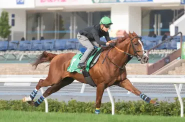 香港遠征明けの菊花賞アーバンシックがドバイシーマクラシックとドバイターフに予備登録 - スポニチ Sponichi Annex ギャンブル