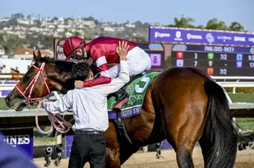 【JRA賞】フォーエバーヤングが年度代表馬受賞　坂井「誇りに思います」「全ての方に感謝したいです」 - スポニチ Sponichi Annex ギャンブル