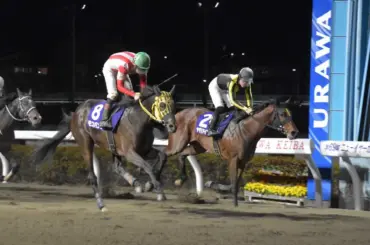 【浦和競馬　ニューイヤーカップ】10番人気モコパンチが重賞初V　長く脚を使ってライバルKO - スポニチ Sponichi Annex ギャンブル