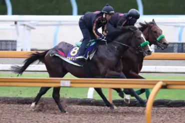 【競馬展望日経新春杯】菊4着ゲルチュタール始動　有馬記念除外ライラックは3週スライド - スポニチ Sponichi Annex ギャンブル