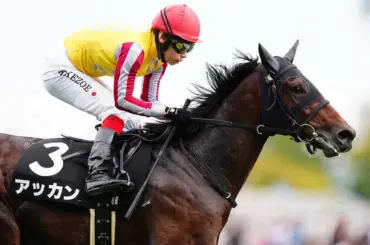 【競馬展望京成杯】百日草特別Vのアッカンが主役 - スポニチ Sponichi Annex ギャンブル