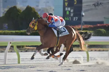 【大井競馬】ライジングステップが新馬勝ち　母は南関重賞勝ち馬　御神本「光るものがある」 - スポニチ Sponichi Annex ギャンブル