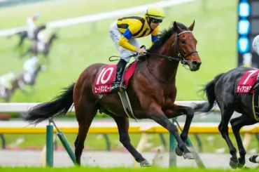 9歳馬ヒートオンビートが引退　23年の目黒記念V　右後肢飛節部分に腫脹で経過観察も - スポニチ Sponichi Annex ギャンブル