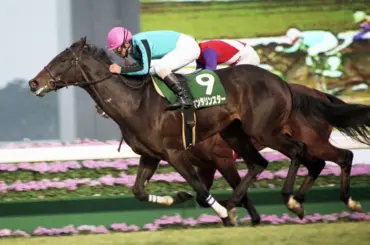 エルコンドルパサーはダート路線でもきっと大成していた - スポニチ Sponichi Annex ギャンブル