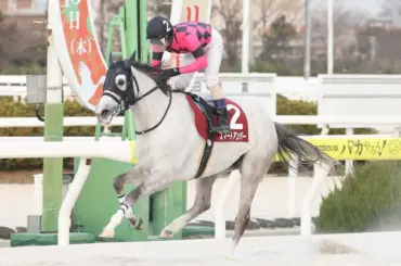 【園田競馬　コウノトリ賞】スマートアンバーが逃げ切り　永島太郎師は重賞初制覇 - スポニチ Sponichi Annex ギャンブル
