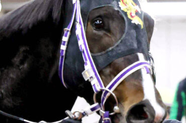 馬トク激走馬に計算されたセミマル