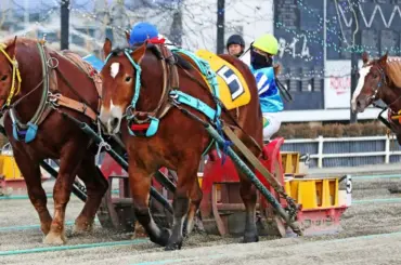 【ばんえい競馬】今井千尋が宮下瞳さん超えの今年度123勝目　地方競馬女性騎手の年度勝利数新記録 - スポニチ Sponichi Annex ギャンブル