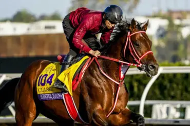 東京競馬記者クラブ賞表彰式・特別賞フォーエバーヤング　矢作師「まず中東2戦。しっかり競馬を」 - スポニチ Sponichi Annex ギャンブル