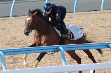馬トク激走馬に計算されたタイダルロック（カメラ・荒牧　徹）