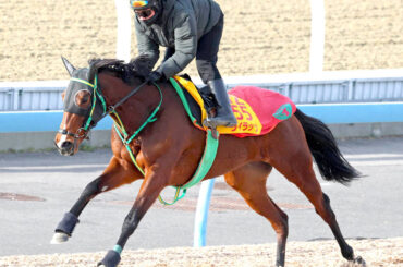 馬トク激走馬に計算されたライラック（カメラ・荒牧　徹）