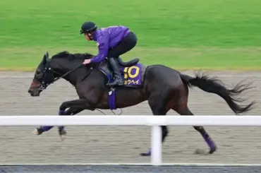 【AJC杯展望】昨年ダービー3着の4歳実力派ショウヘイが主役 - スポニチ Sponichi Annex ギャンブル