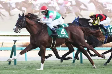 【京成杯】グリーンエナジー　直線一気の突き抜けで重賞初V - スポニチ Sponichi Annex ギャンブル