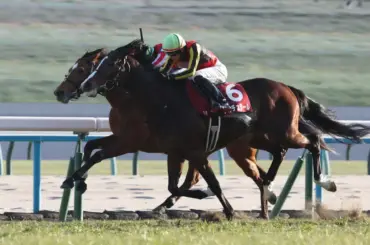 【日経新春杯】ゲルチュタール　叩き合い制し重賞初制覇 - スポニチ Sponichi Annex ギャンブル