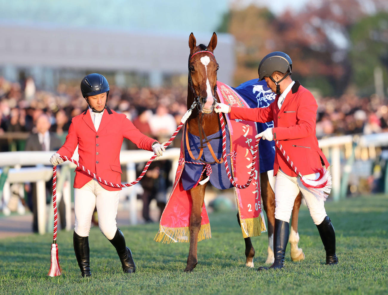 ジャパンCを制したカランダガン(撮影・鈴木正人)