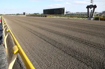 大井のフェブランシェはルメールとの再コンビで根岸S参戦　JRA発表 - スポニチ Sponichi Annex ギャンブル