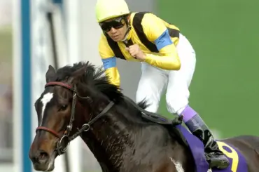 04年桜花賞馬ダンスインザムード死す…25歳「凜としたオーラを崩さぬまま天寿を全うしたと思います」 - スポニチ Sponichi Annex ギャンブル