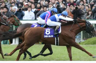 「不屈の個性派」ダイワメジャー死す…G1・5勝、種牡馬でも活躍　上原博師「大往生かな」 - スポニチ Sponichi Annex ギャンブル