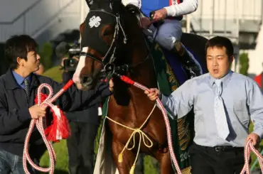 ダイワメジャー追悼　2018年アーカイブス復刻版　デビュー戦のパドックから“規格外” - スポニチ Sponichi Annex ギャンブル