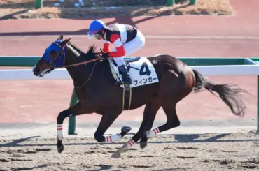 【船橋11R・ブルーバードカップ】フィンガー、砂3冠名乗り！前走圧巻の大物候補 - スポニチ Sponichi Annex ギャンブル