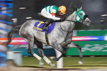 ２５年の古馬秋シーズン初戦のスパーキングレディーCを制覇したフェブランシェ