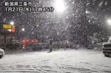 ウェザーニュース